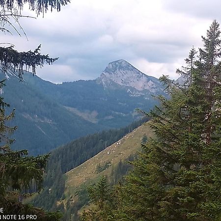 Haus Bergblick Fruehstueckspension Oberort Esterno foto