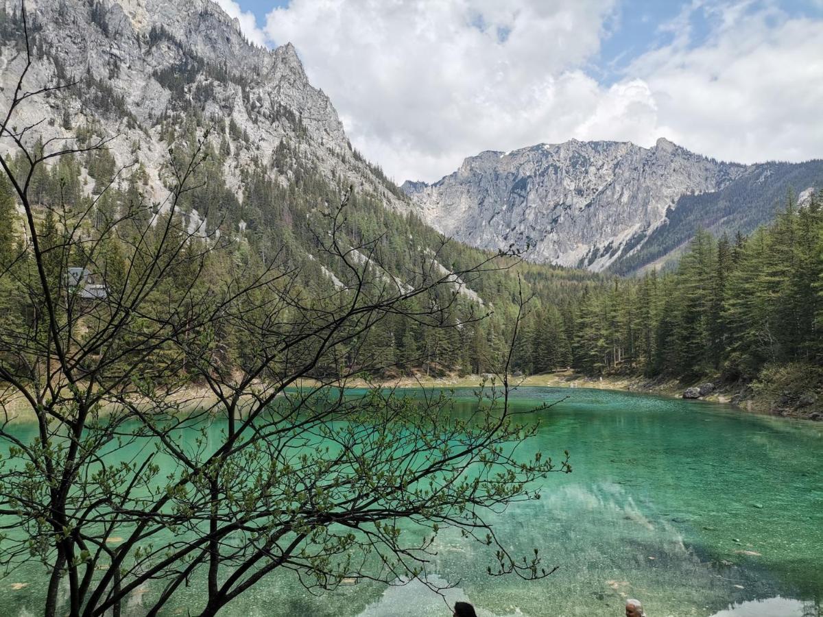 Haus Bergblick Fruehstueckspension Oberort Esterno foto