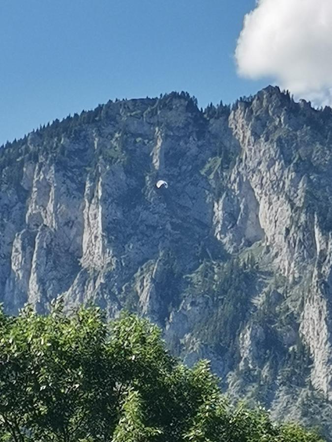 Haus Bergblick Fruehstueckspension Oberort Esterno foto