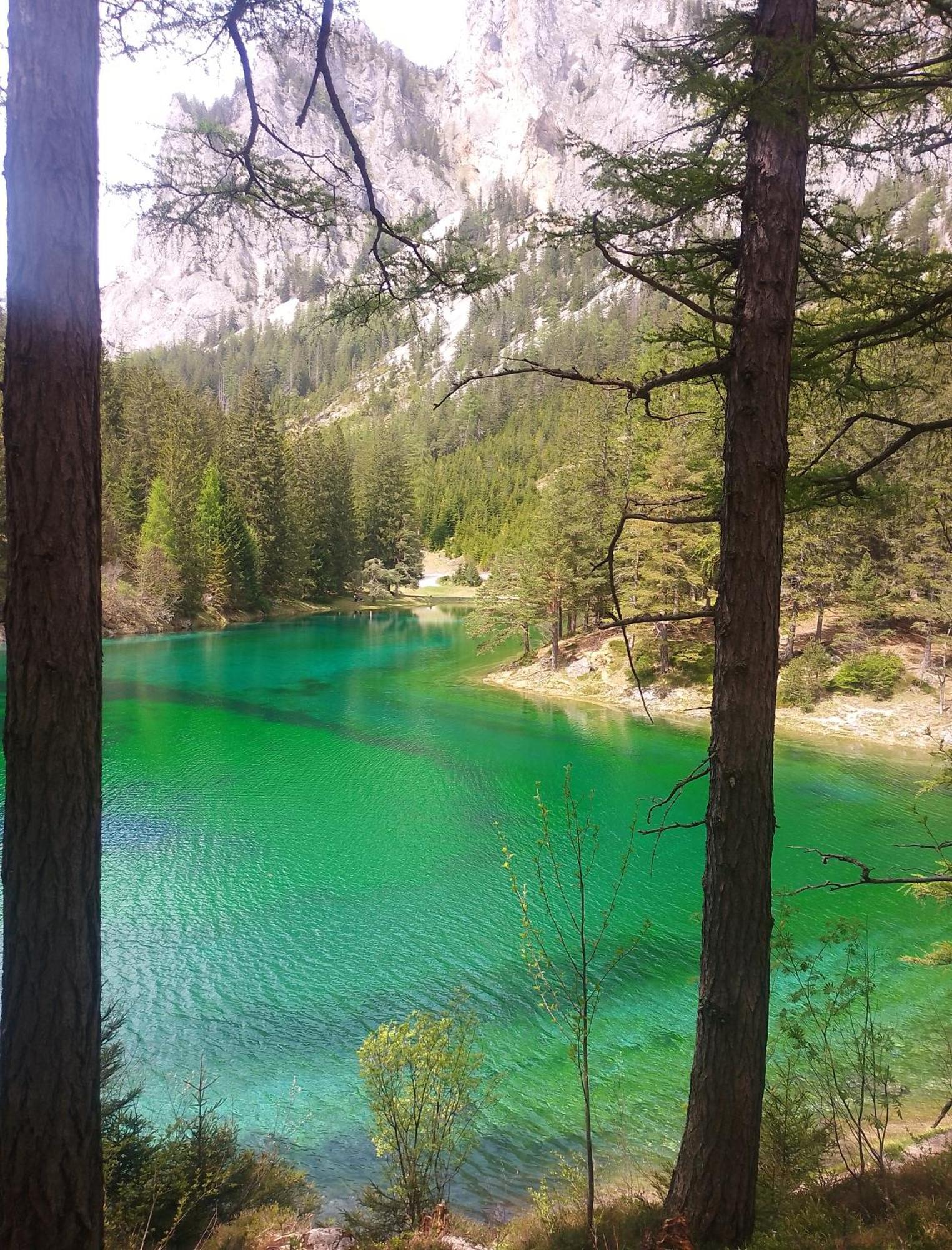 Haus Bergblick Fruehstueckspension Oberort Esterno foto