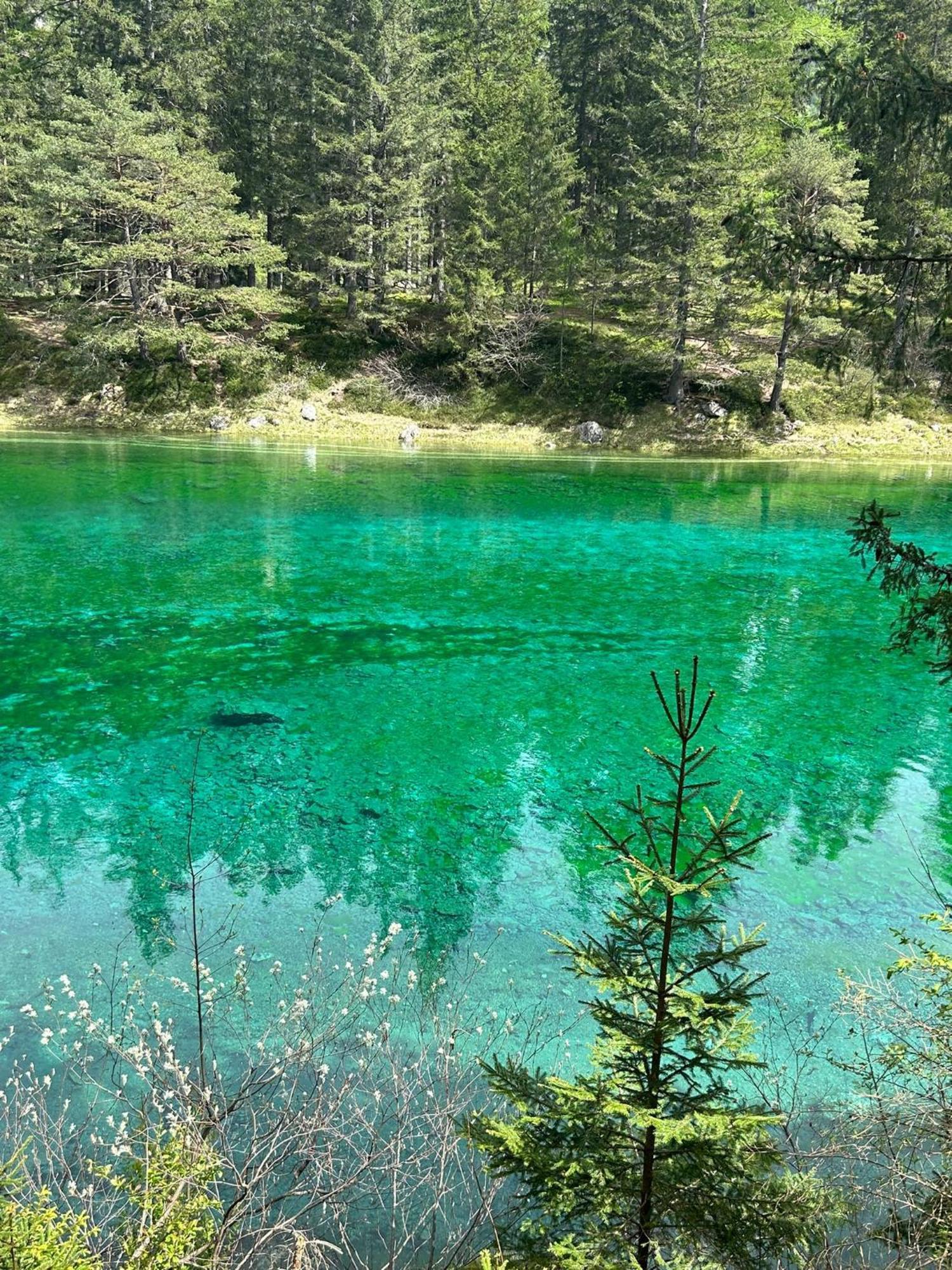 Haus Bergblick Fruehstueckspension Oberort Esterno foto
