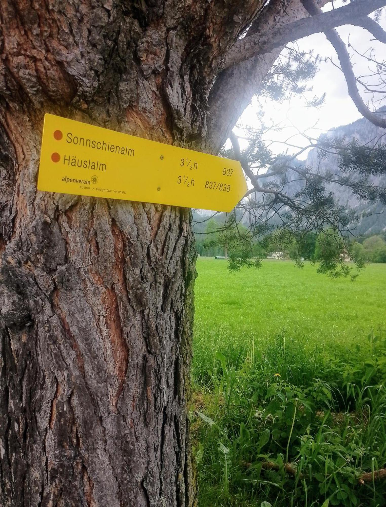 Haus Bergblick Fruehstueckspension Oberort Esterno foto