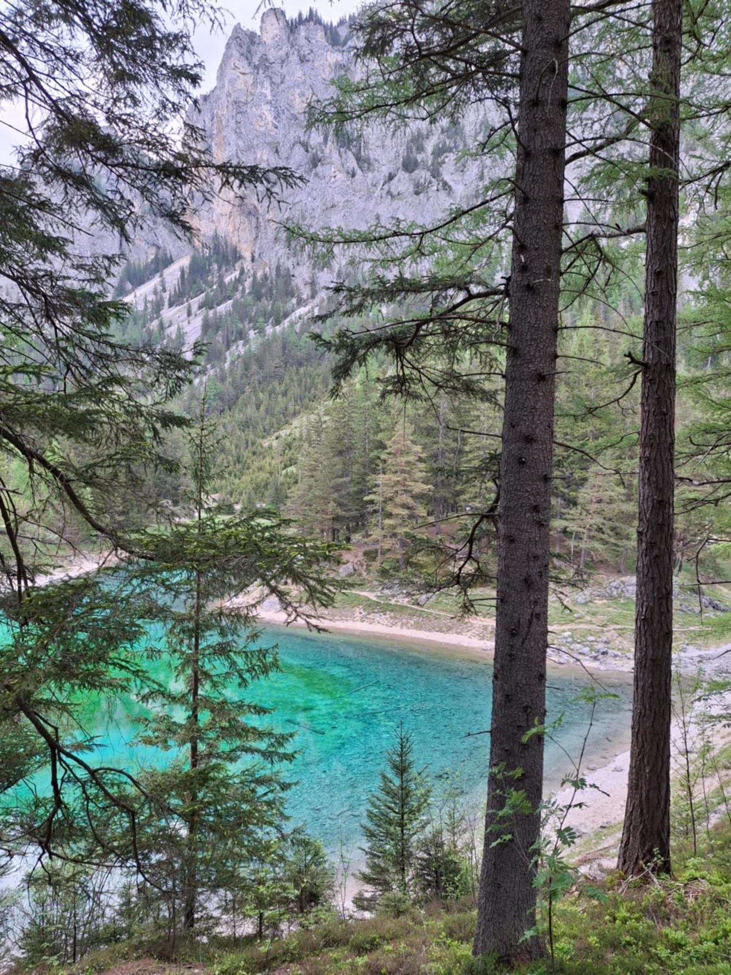 Haus Bergblick Fruehstueckspension Oberort Esterno foto