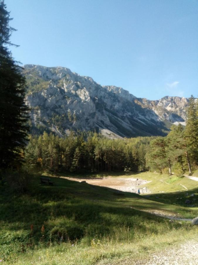 Haus Bergblick Fruehstueckspension Oberort Esterno foto